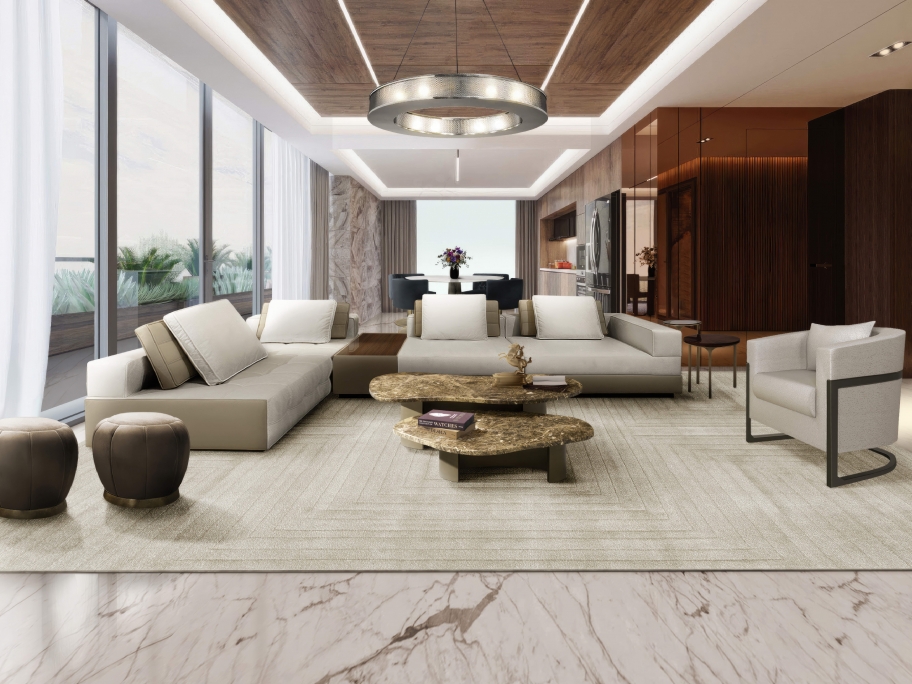 Luxury Modern Living Room With White Garden Rug - Rug'Society