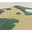 Fortuna Rug by Rug'Society