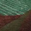 James Rug by Rug'Society