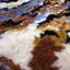 La Land Rug by Rug'Society