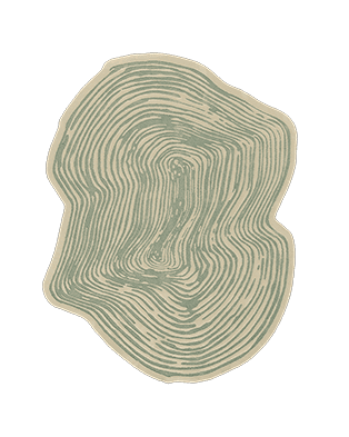 Loode Rug by Rug'Society
