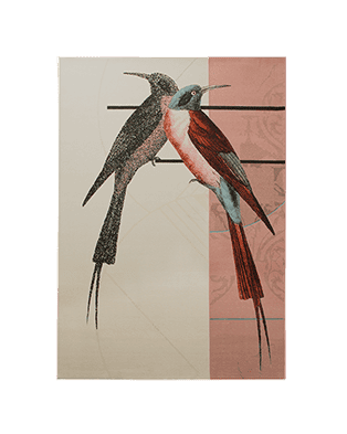 Plumbird Rug by Rug'Society