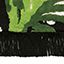 Feline Rug by Rug'Society