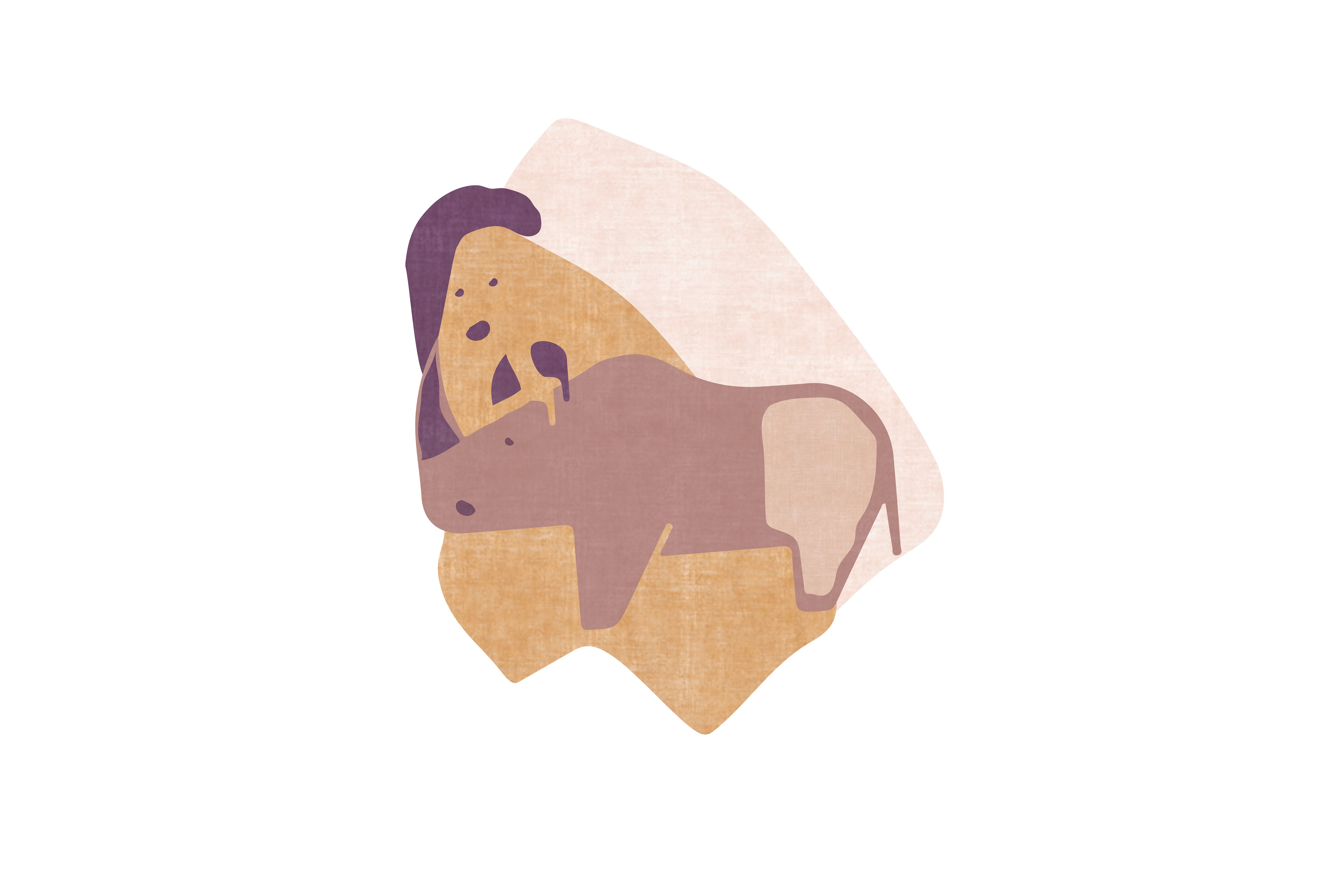 Mr. Rhino Rug by Rug'Society