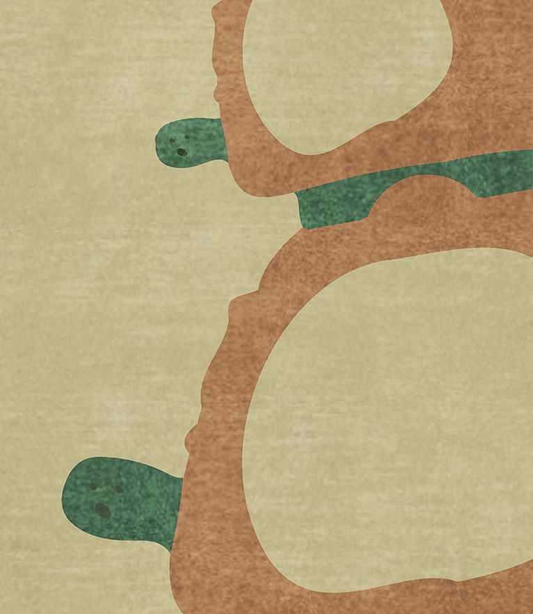 Details Turtle Shell Rug by Rug'Society