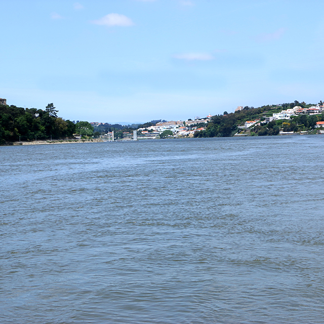 Covet Douro 8