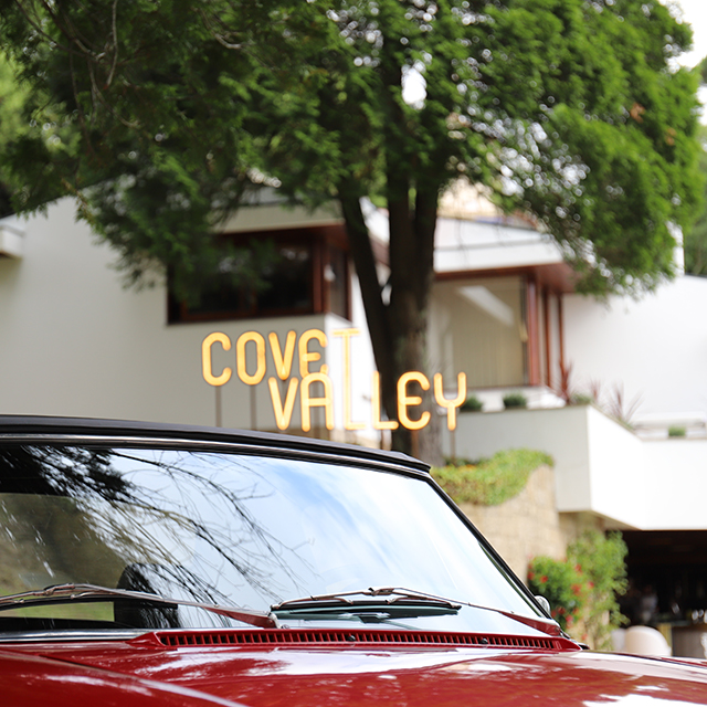 Covet Valley 15